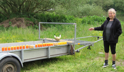 Campari Orange_06.jpg